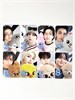 Официальные карты STRAY KIDS Dominate CelebrATE MD PHOTOCARD 6328
